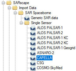 SARscape_Capella_Import_Data.png